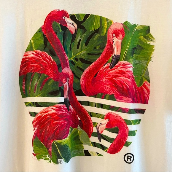 🔺 Mens Limited Edition Flamingo Tee by The Midnight Society , Size: L - Picture 4 of 11